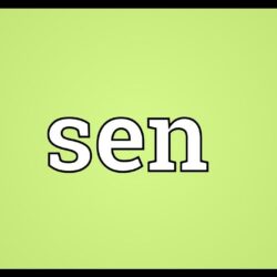 Sen definition